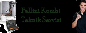 Pendik Fellini Kombi Servisi 0216 309 4025