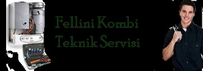 Pendik Ertuğrulgazi Fellini Kombi Servisi 0216 309 4025